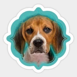 Beagle dog Sticker